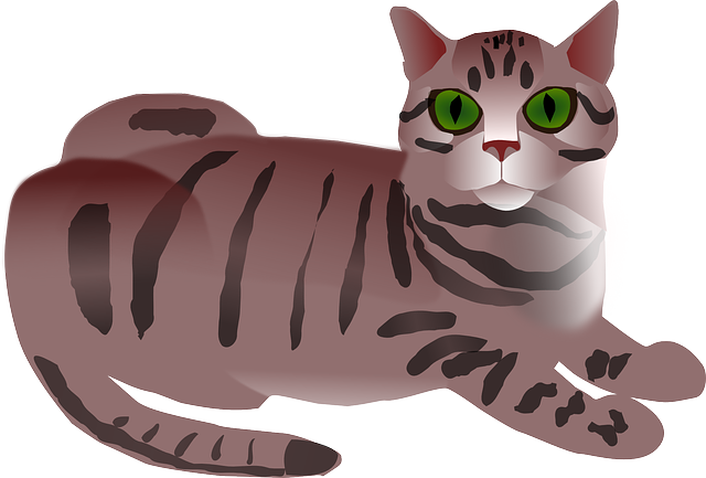 cute-orange-tabbies-640x480-62146914.png
