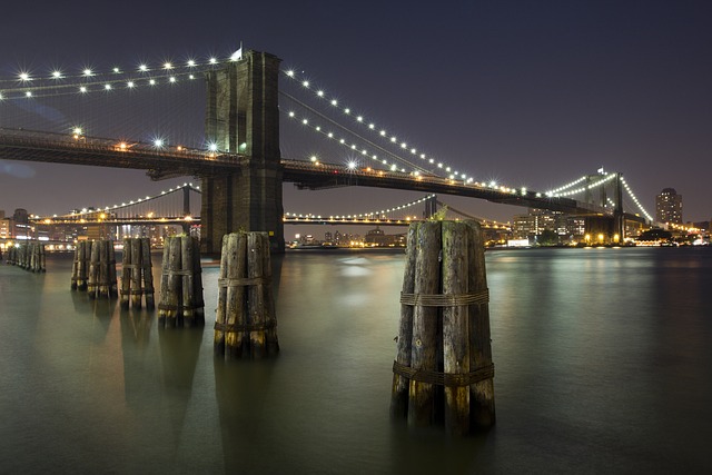 dental bridges