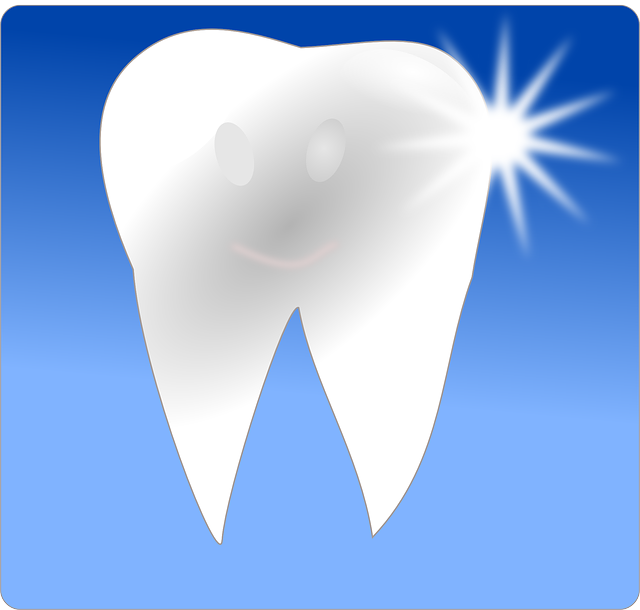 dental checkups