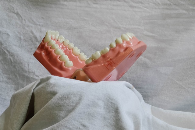 dental checkups