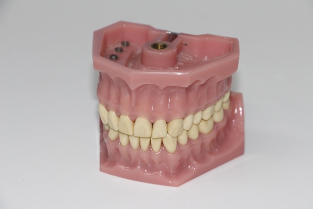dental education