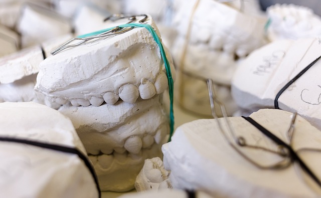 dental education