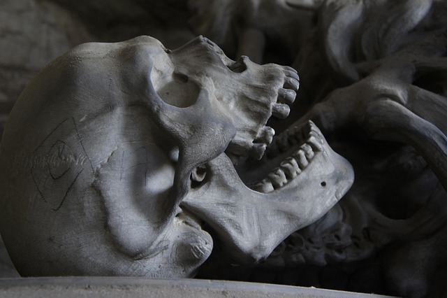 dentures dentistry