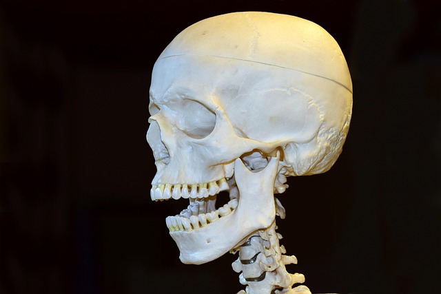 dentures-dentistry-640x480-62105046.jpeg