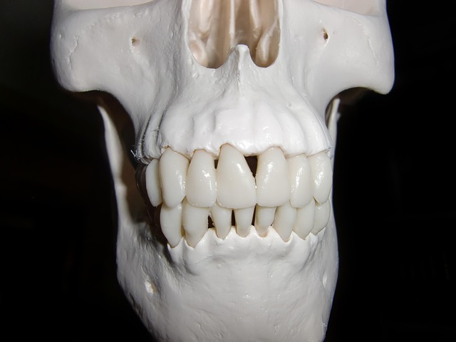 dentures dentistry