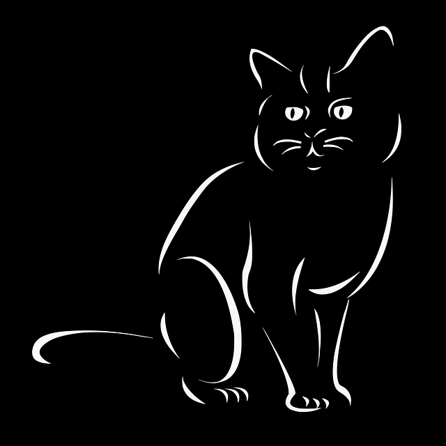 Domestic Cats
