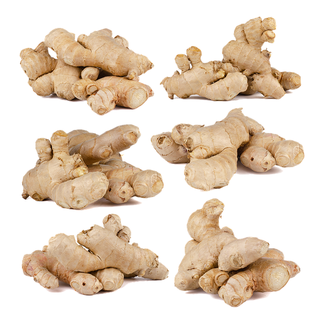 Ginger Cats