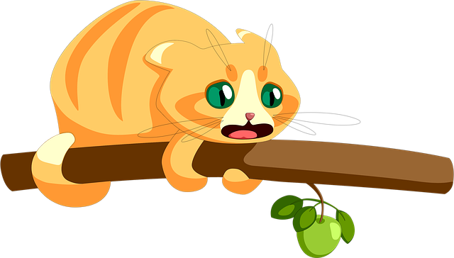 Ginger Cats