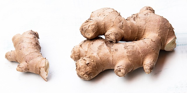 Ginger Cats