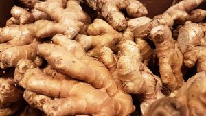 ginger-cats-640x480-40535631.jpeg