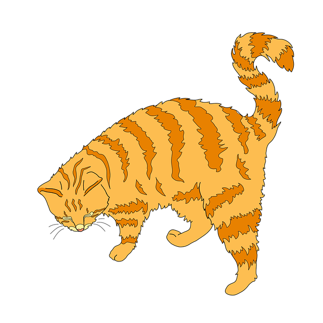 ginger-cats-640x480-55288775.png