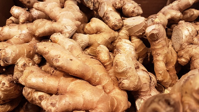 ginger-cats-640x480-63824169.jpeg
