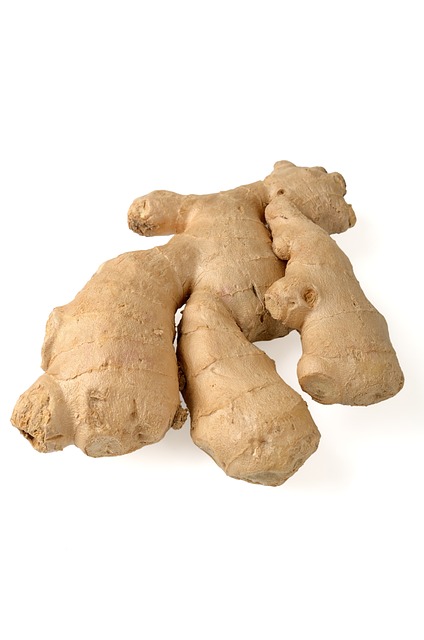 Ginger Cats