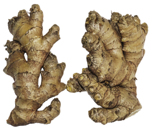 ginger-kittens-640x480-32910025.png
