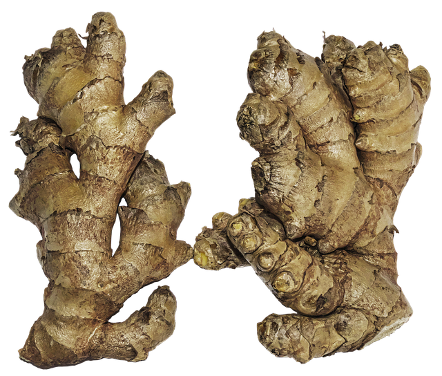 ginger-kittens-640x480-32910025.png