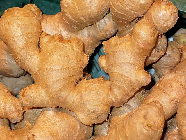 Ginger Kittens