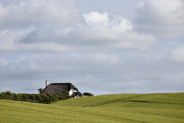 house-640x480-95645967.jpeg