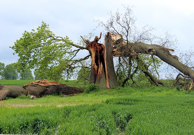hurricane damage injuries