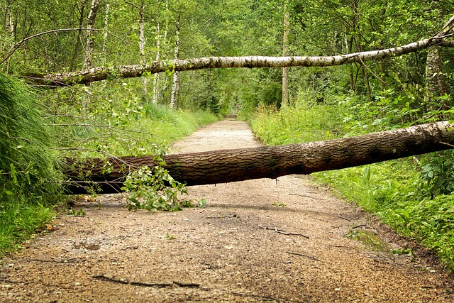 hurricane damage injuries