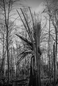 hurricane-damage-injuries-640x480-23203761.jpeg