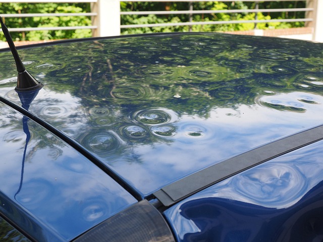 hurricane damage injuries