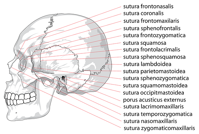 jaw-pain-blog-640x480-34914693.png