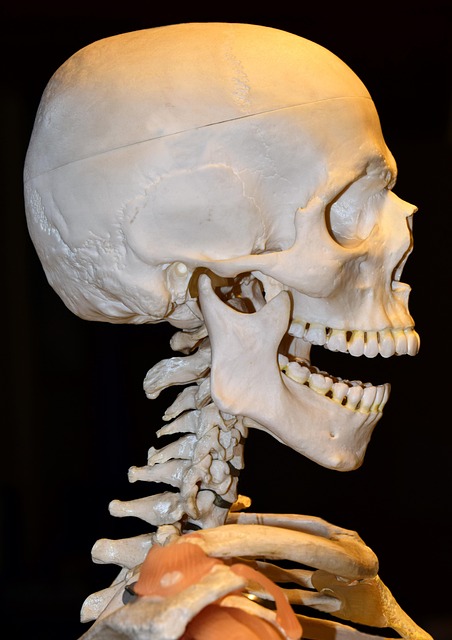 jaw pain blog