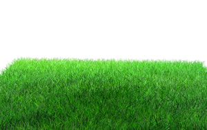 lawn-care-640x480-24331661.png
