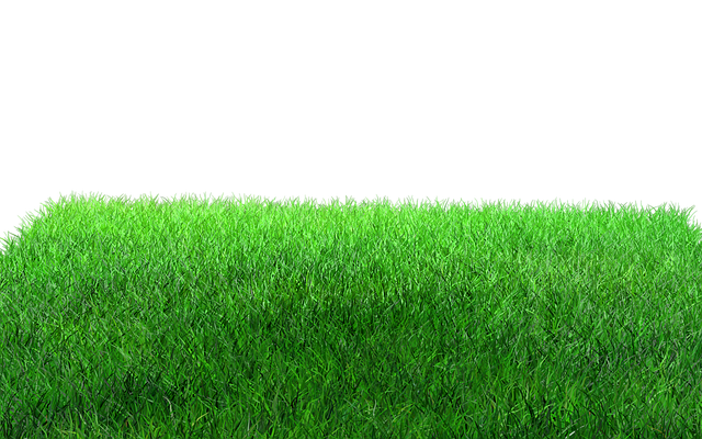 lawn-care-640x480-24331661.png
