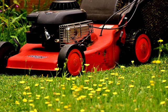 Lawn Care