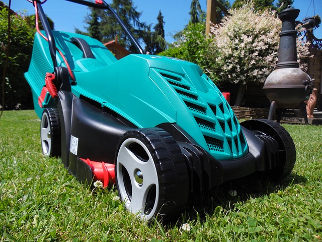 lawn-care-640x480-7796797.jpeg
