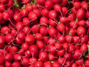 local-food-640x480-91875731.jpeg