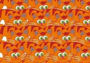 orange-cat-resources-640x480-42329217.jpeg