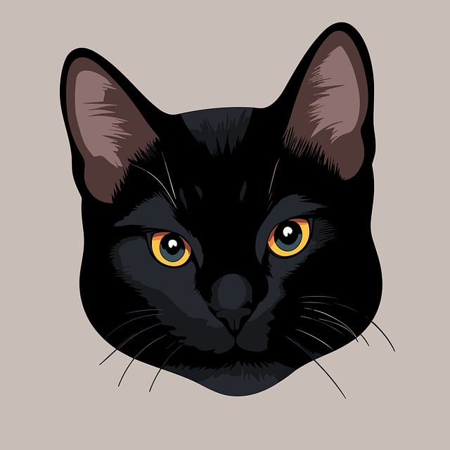 Unveiling the Charm: The Allure of Orange Cats