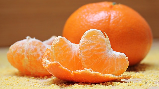 Orange Felines
