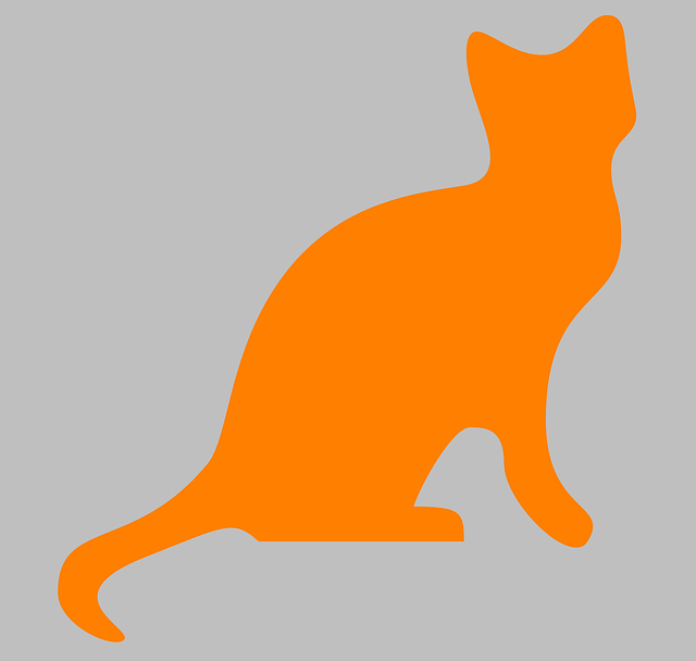 Orange Kittens