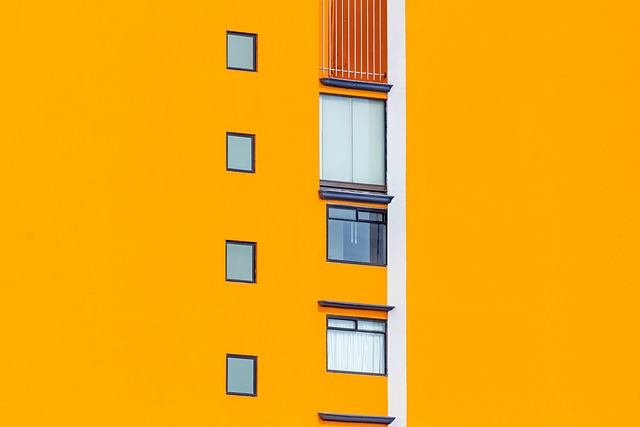 Unleashing the Power of Orange Tabbies: Health, Culture & Personality