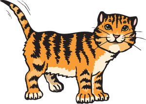 orange-tabbies-640x480-69305559.png