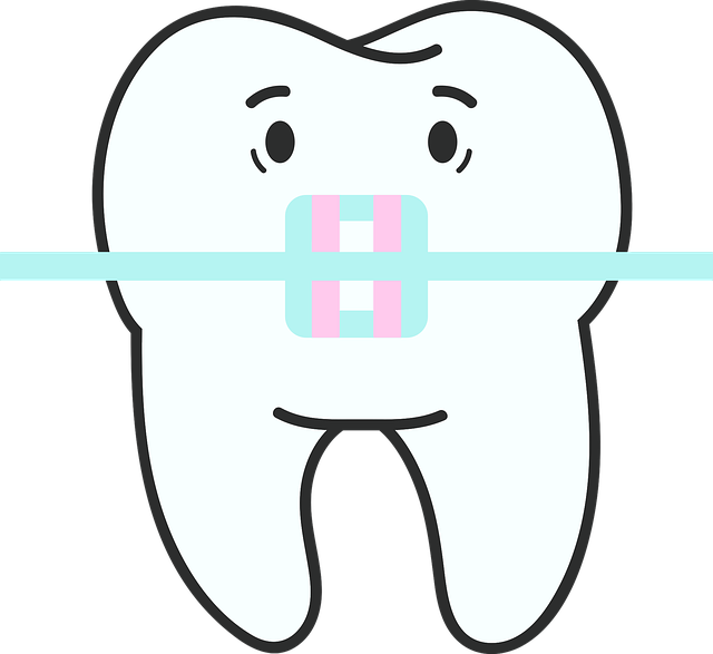 orthodontics dentistry