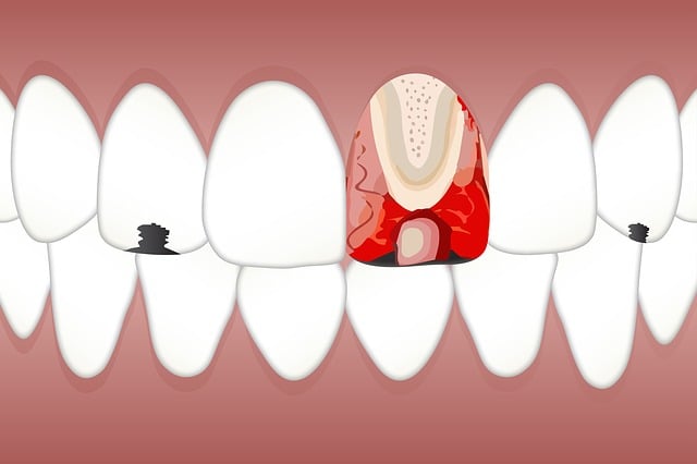 orthodontics dentistry