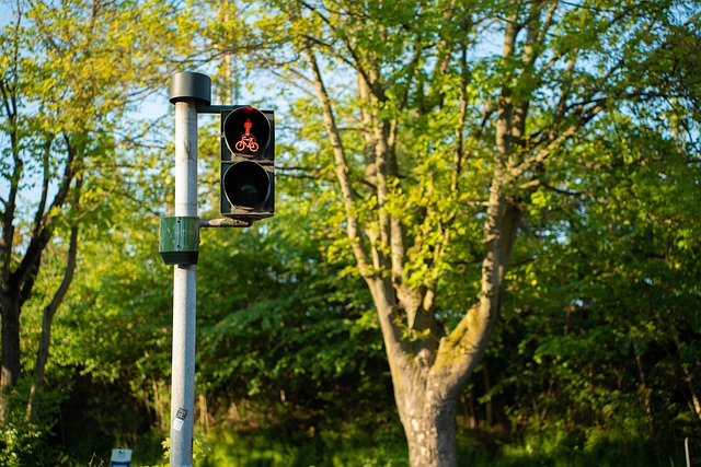 pedestrian injuries