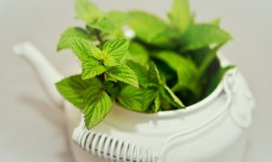 peppermint-tea-640x480-14672519.jpeg