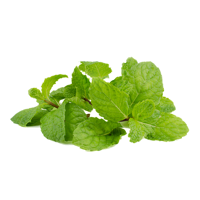Peppermint Tea