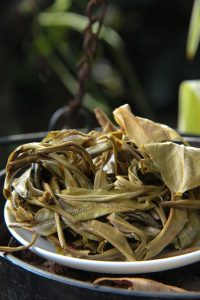 peppermint-tea-640x480-25617850.jpeg