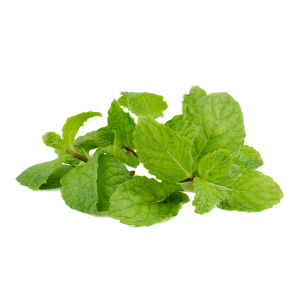peppermint-tea-640x480-25825633.png