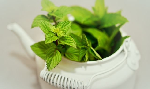 Peppermint Tea