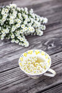 peppermint-tea-640x480-31051875.jpeg