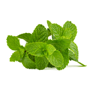 peppermint-tea-640x480-36504018.png
