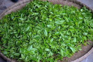 peppermint-tea-640x480-41048618.jpeg