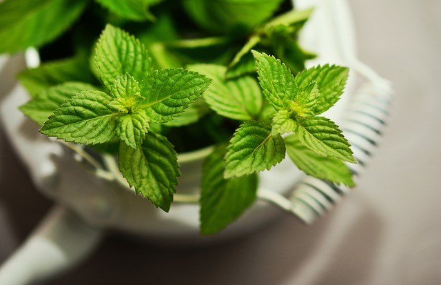 Peppermint Tea